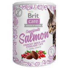 Brit Cat Snack Superfruits Salmón 100gr