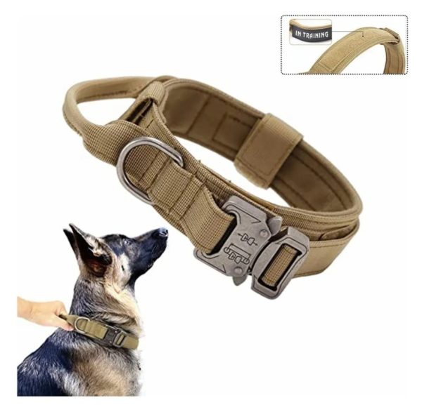 collar Táctico para perro Talla L
