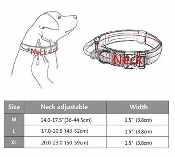 collar Táctico para perro Talla L - Imagen 2