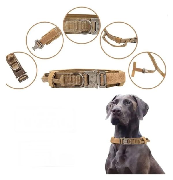 collar Táctico para perro Talla L - Imagen 4