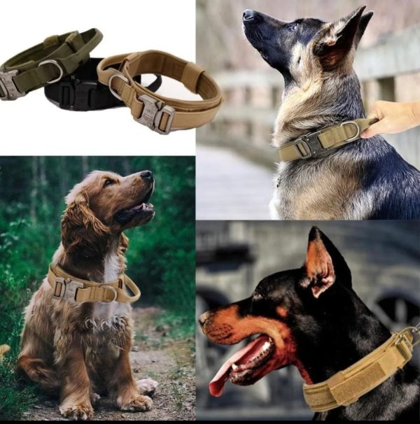 collar Táctico para perro Talla L - Imagen 5