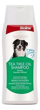 Shampoo Aceite de Arbol de Té Bioline 250 ML